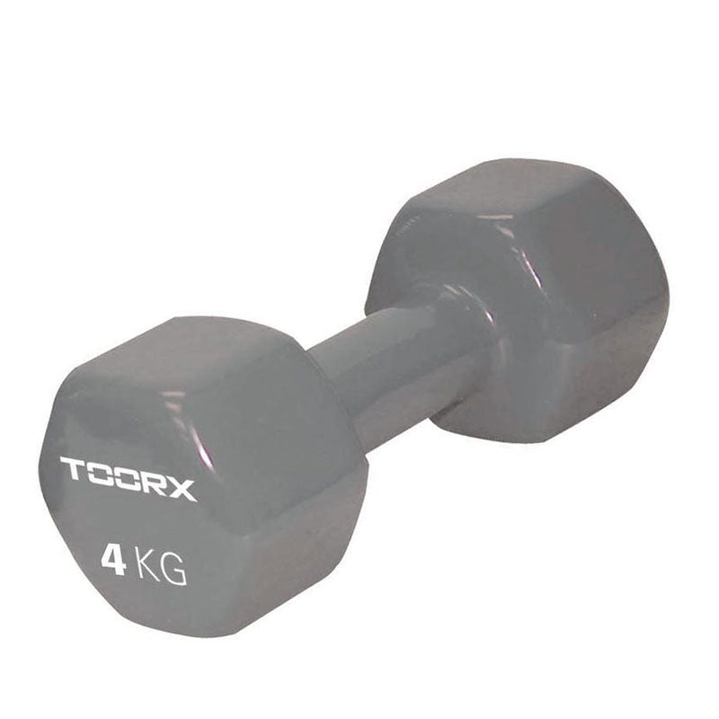 Vinyl Weight 4kg Light Gray Toorx