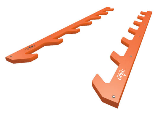 Salmon Ladder